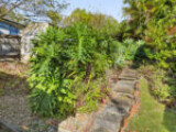 238 Boundary Road, Bardon, QLD 4065 AUS