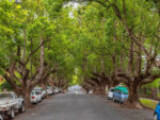 9/111 Moreton Street, New Farm, QLD 4005 AUS